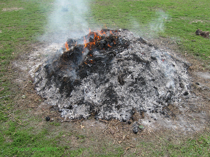 Two Men and a Little Farm January 2012