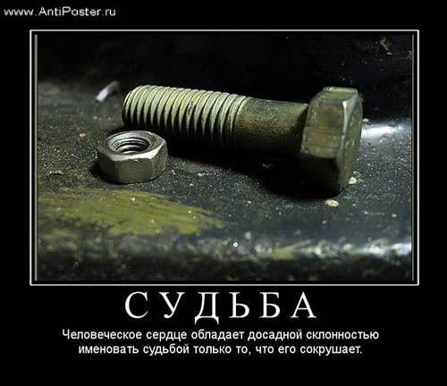 Приколы из жизни детей и скачать приколы бесплатно с торрент