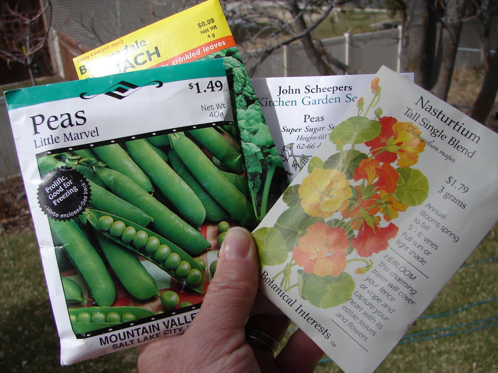 New Utah Gardener How do I know what to grow from seeds and what to