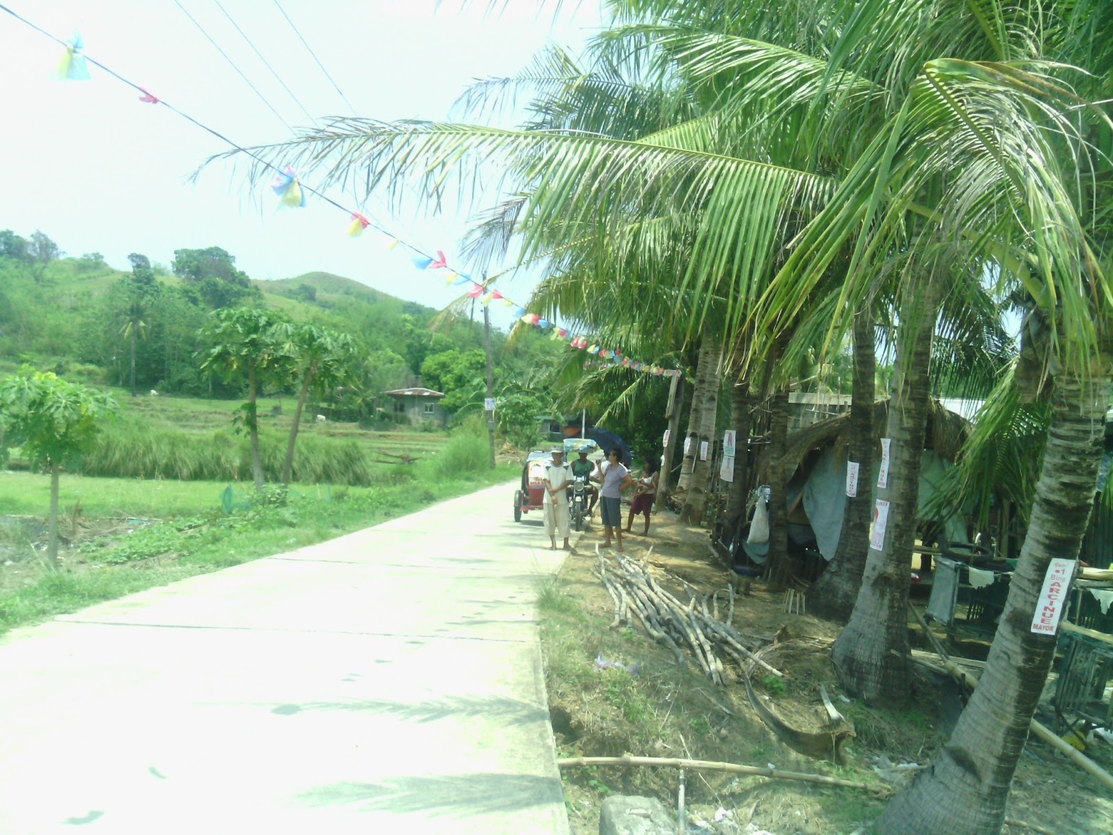 Pasig Best Properties Farm Lots For Sale Sual Pangasinan