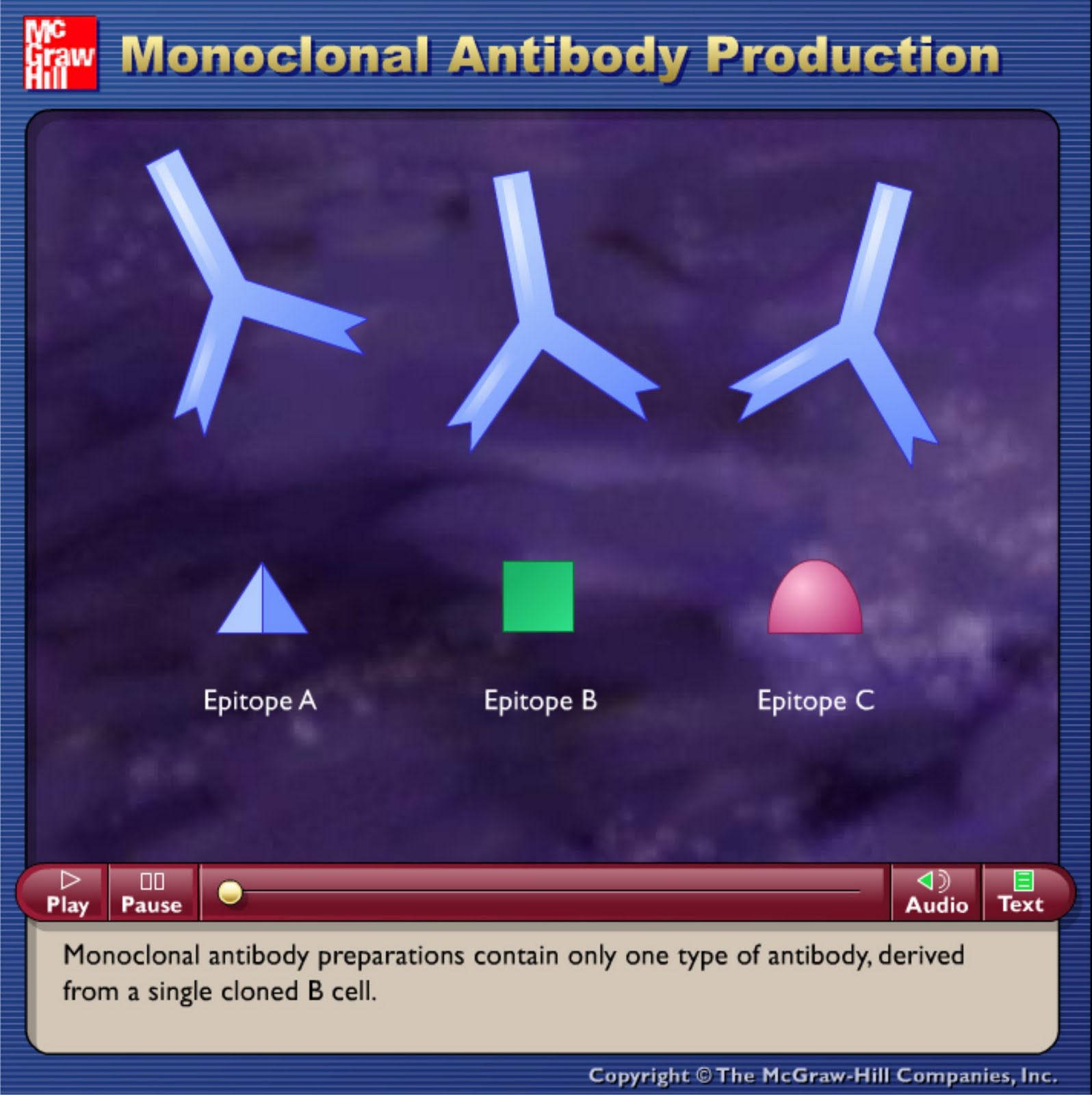 Monoclonal Antibody Production.swf / Produksi Antibodi Monoklonal