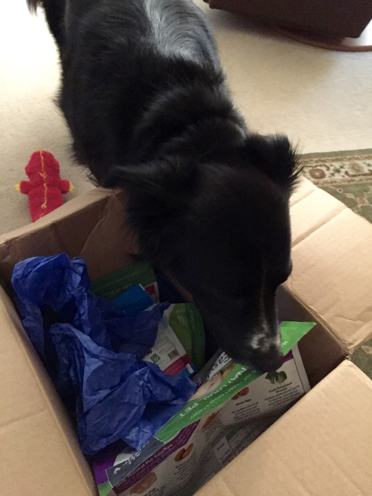 The Simple Life Only Natural Pet Paleo Pet Food FAQ