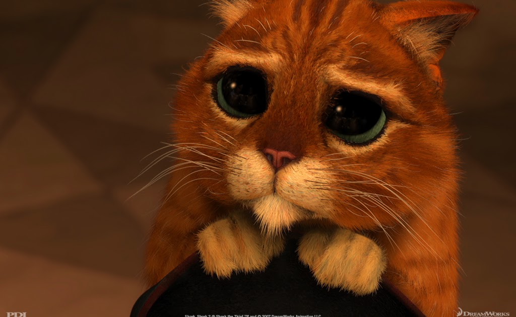 Imagine belieber: Que seja eterno enquanto dure! part :53