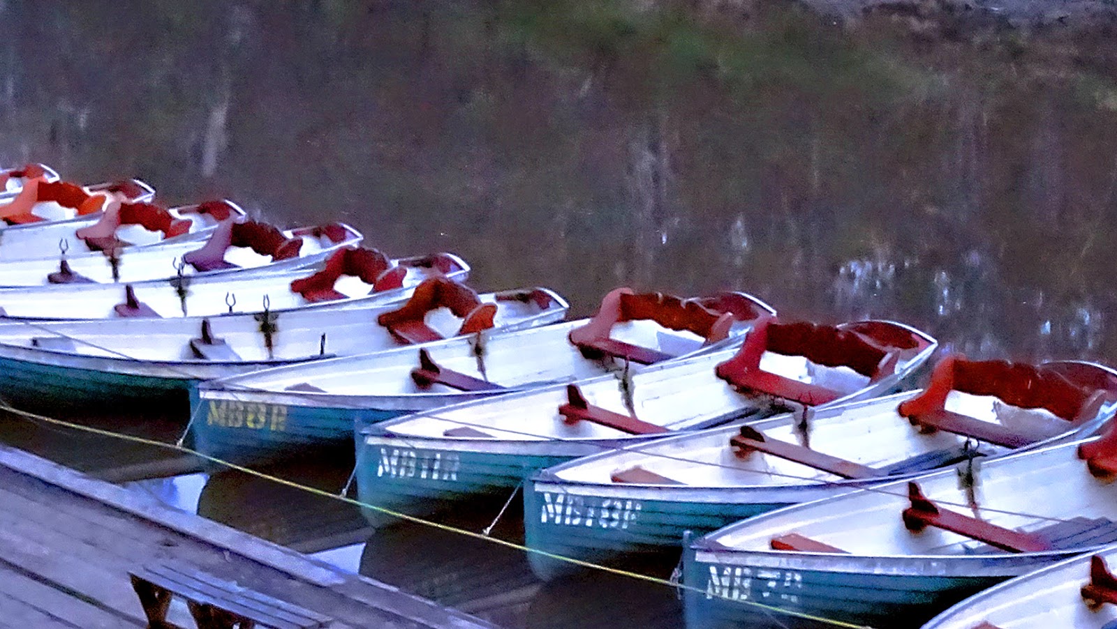 Melbourne Fresh Daily FAIRFIELD BOATHOUSE AT DUSK