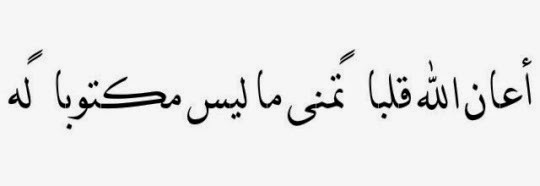 ������ ���� ������ �� ���� ������