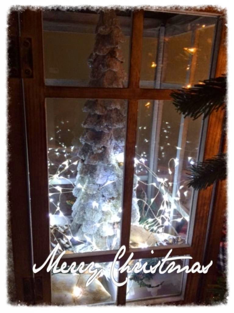 CHOCOLATES FOR BREAKFAST and other Sweet Somethings: Glimmer Lights Create Christmas Magic