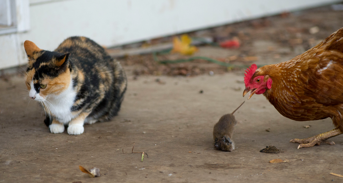 Robin Loznak Photography October 2012