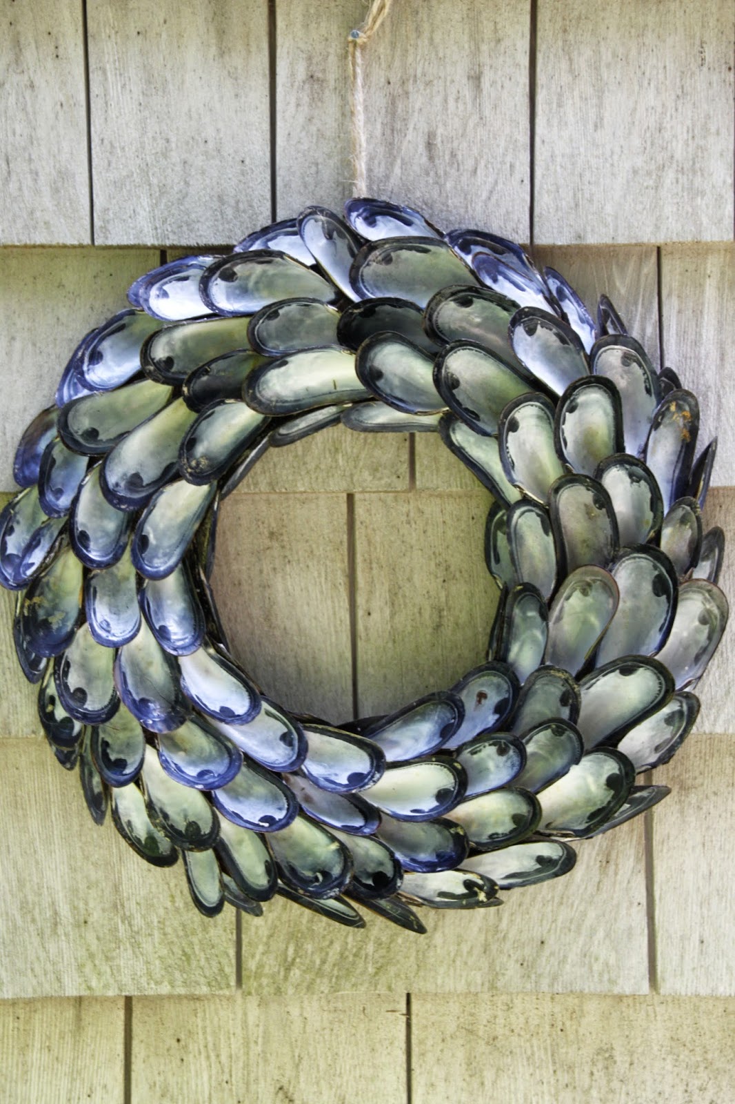 Tilly's Nest: A Coastal Inspired Shell Wreath
