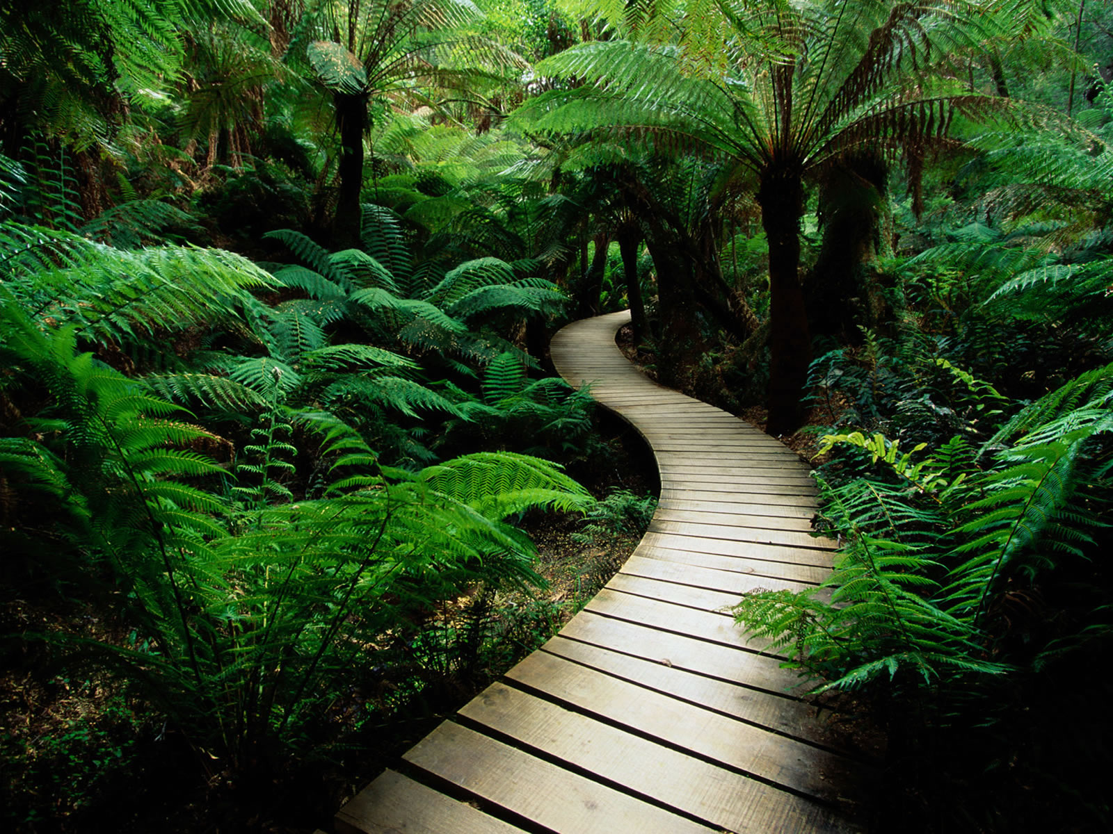 http://2.bp.blogspot.com/-Jr1RYMphqPo/TqKvDfRsVfI/AAAAAAAAFpA/dAH1ot8iAVQ/s1600/Naturepaography.jpg