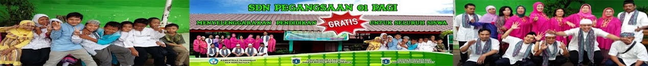 SDN PEGANGSAAN 01