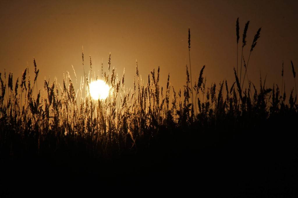 Download Ubuntu 11.04 Natty