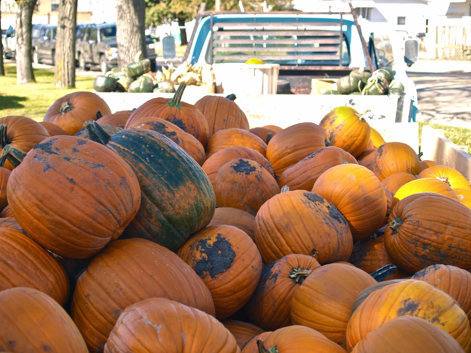 Wishek, North Dakota Sauerkraut Day What You Can Expect Tomorrow in