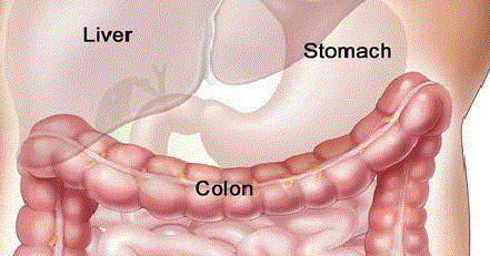 left side stomach pain: Left Side Stomach Pain