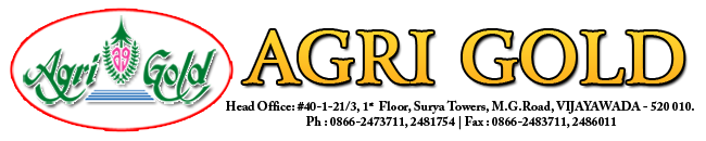 Agrigold News
