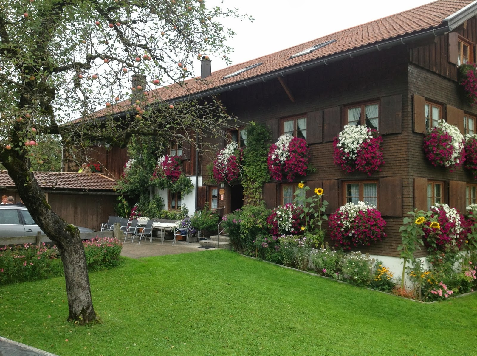 Betsy S Briefings Viehscheid In Thalkirchdorf