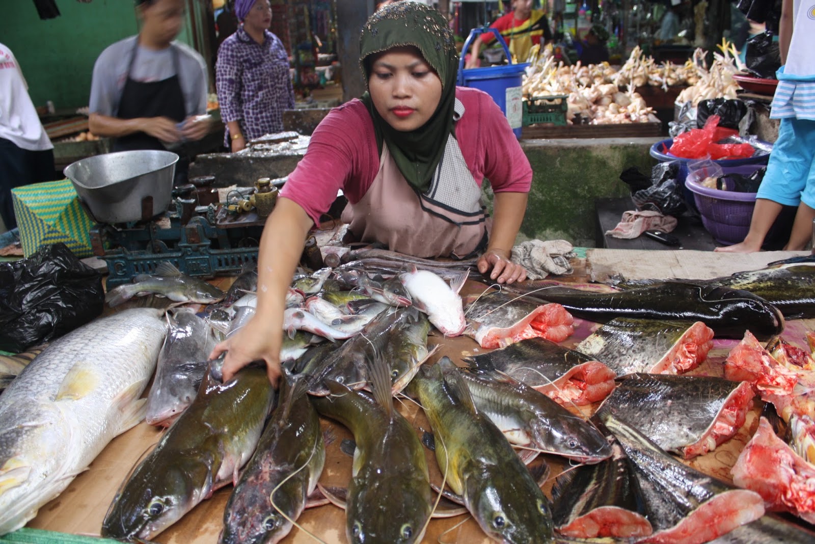Panduan Pemasaran Ikan: Bagaimana Mengenalkan Produk Ikan Lokal ke Pasar yang Lebih Luas