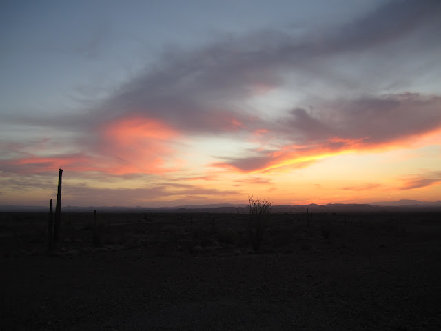 1+Colburn+and+Scott+Outfitters+Desert+Sheep+Scouting+Pictures+3.JPG