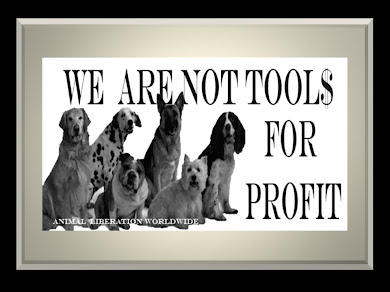 OUR COMPANION ANIMALS ARE NOT PRODUCTS TO BE MANUFACTURED