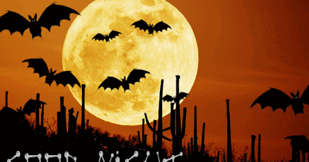 Animated Free Gif Good Night Funny Ecards Animated Gifs Night