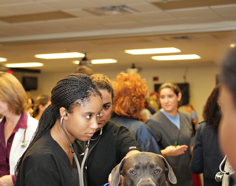 Veterinary Legacy Tuskegee University's Distinctive School of