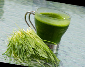 Lose Your Weight with Vegetable Juice