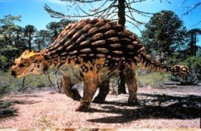 Ankylosaurus