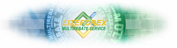Forex Trading Strategy Based on Liteforex