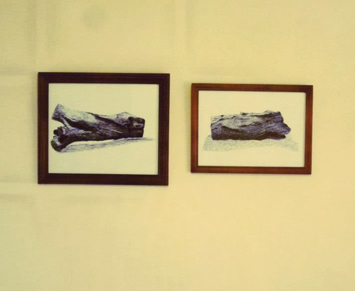 Ciklemfusa: Wood Texture Drawings