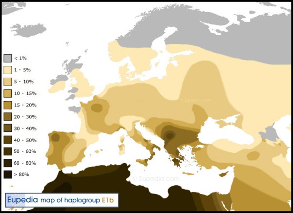 Haplogroup-E1b1b-600x436.jpg