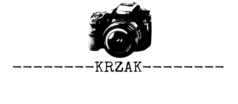 Krzak