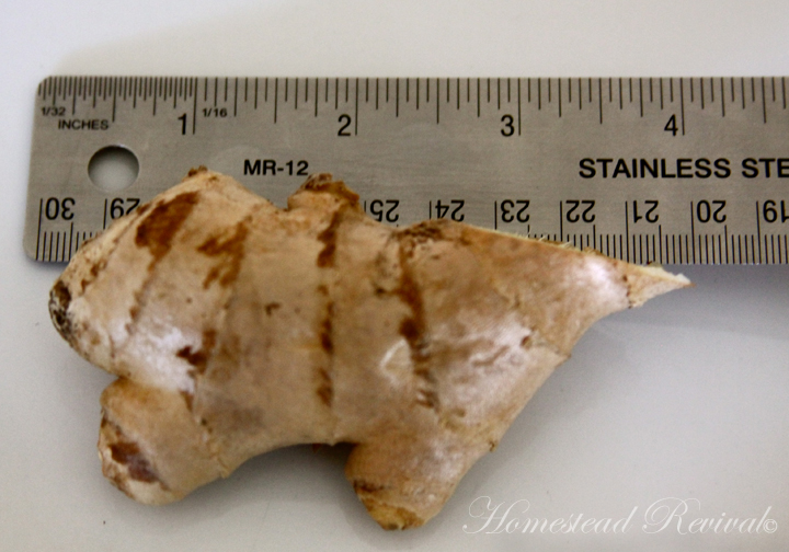 Homestead Revival Ginger Spice Decoction