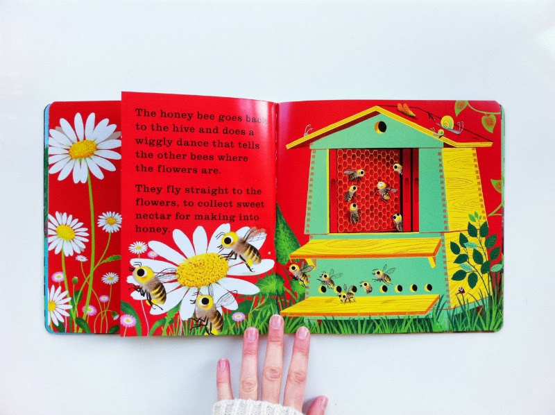 A GOOD BOOK // What Happens Next? WILD & GRIZZLY