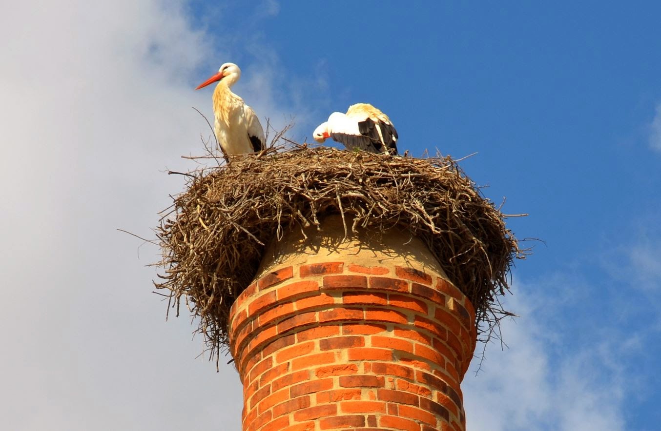 online-kasinon oikean rahan vedonlyönti