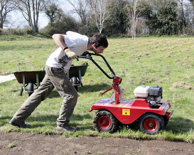 Joe turfing