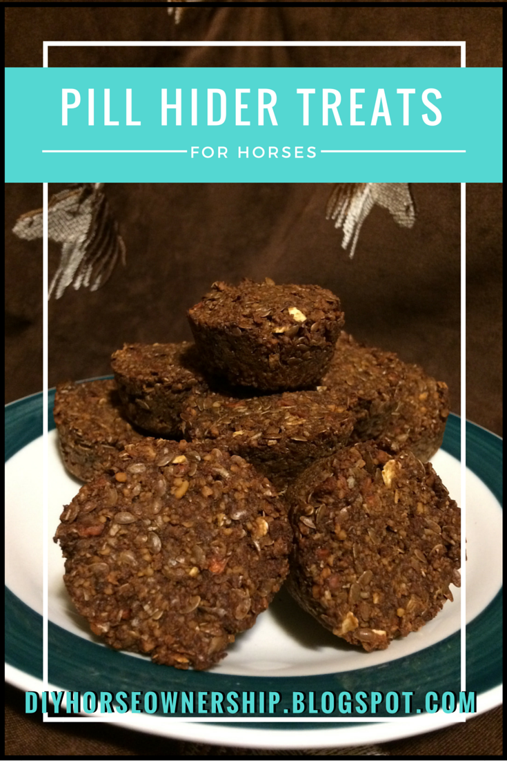 DIY How to Make Pill Hider Horse Treats DIY Horse Ownership
