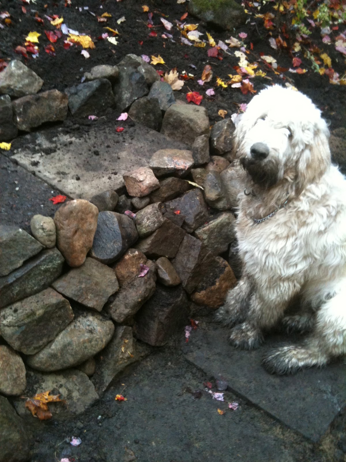 An Anglo in Québec Fire Pit 101