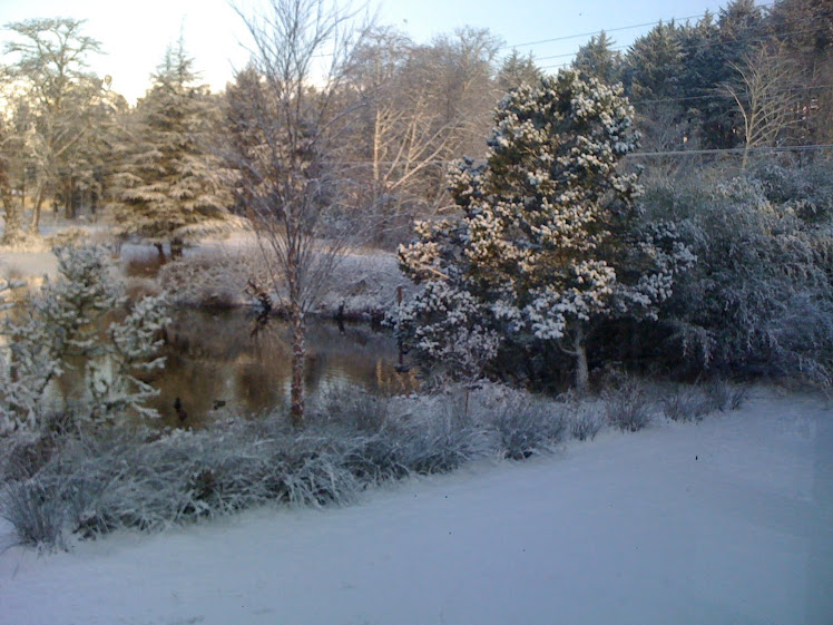 Loomis Outlet In February