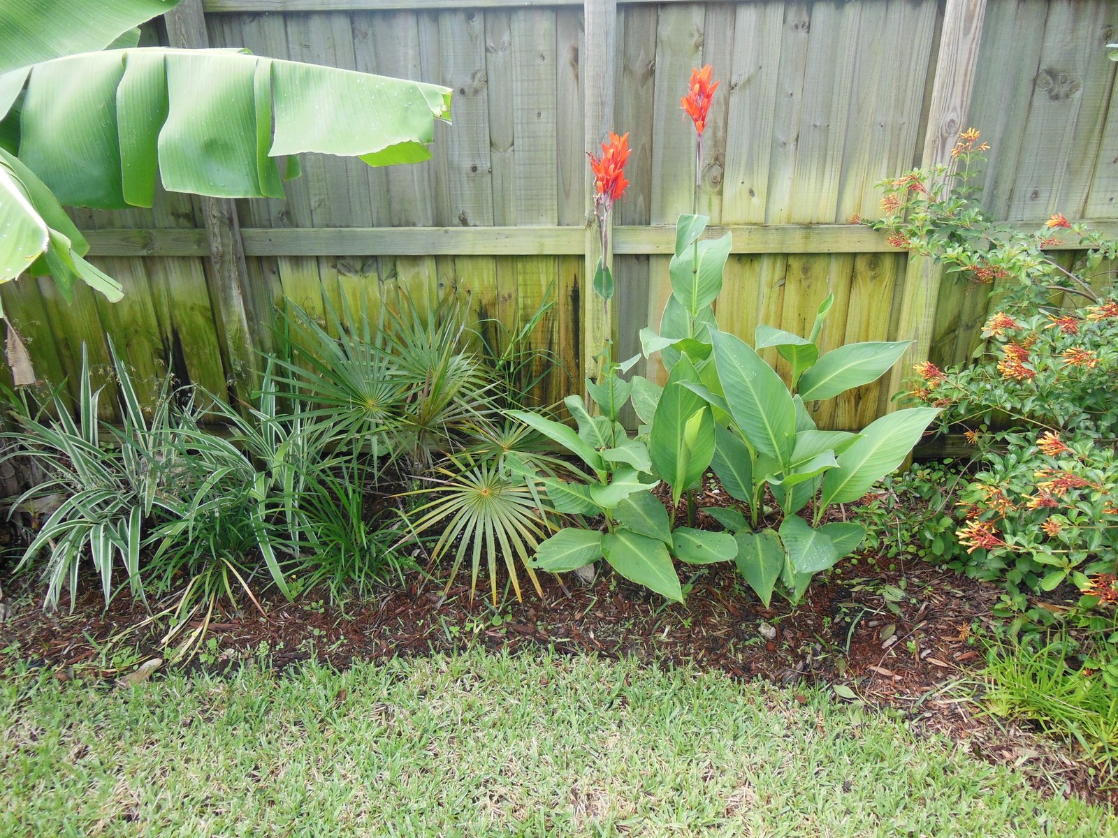 South Florida Gardening Blog