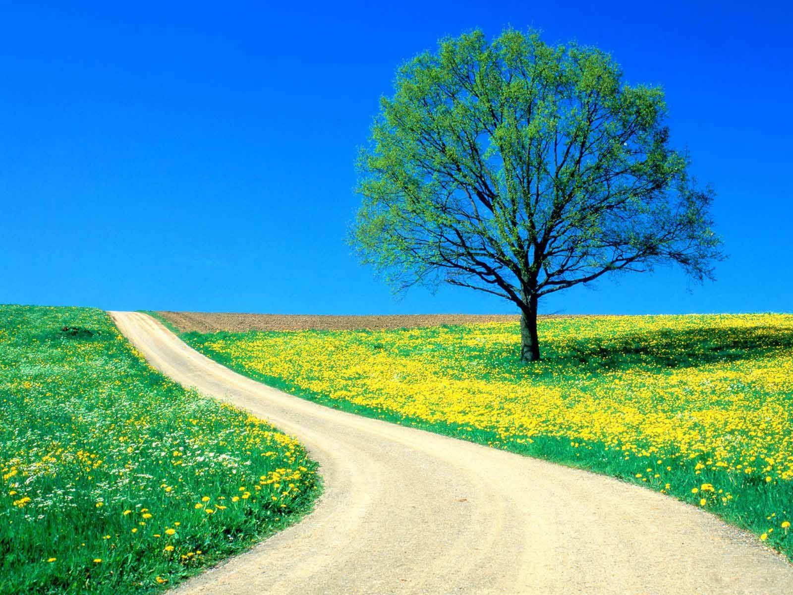 Beautiful Nature Wallpapers Beautiful Nature Wallpapers