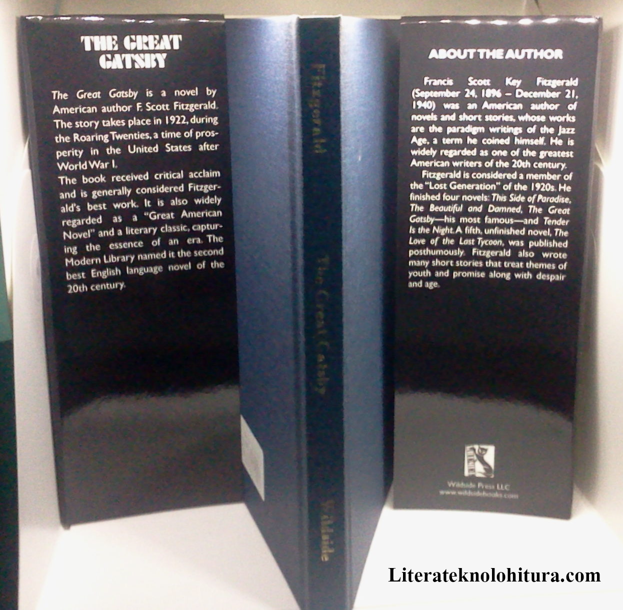 a critique of society in the great gatsby by f scott fitzgerald The great gatsby is a review by a facet of the classic 'american dream,' is central to the plot of f scott fitzgerald's novel the great gatsby. a critique of society in the great gatsby by f scott fitzgerald The great gatsby is a review by a facet of the classic 'american dream,' is central to the plot of f scott fitzgerald's novel the great gatsby.