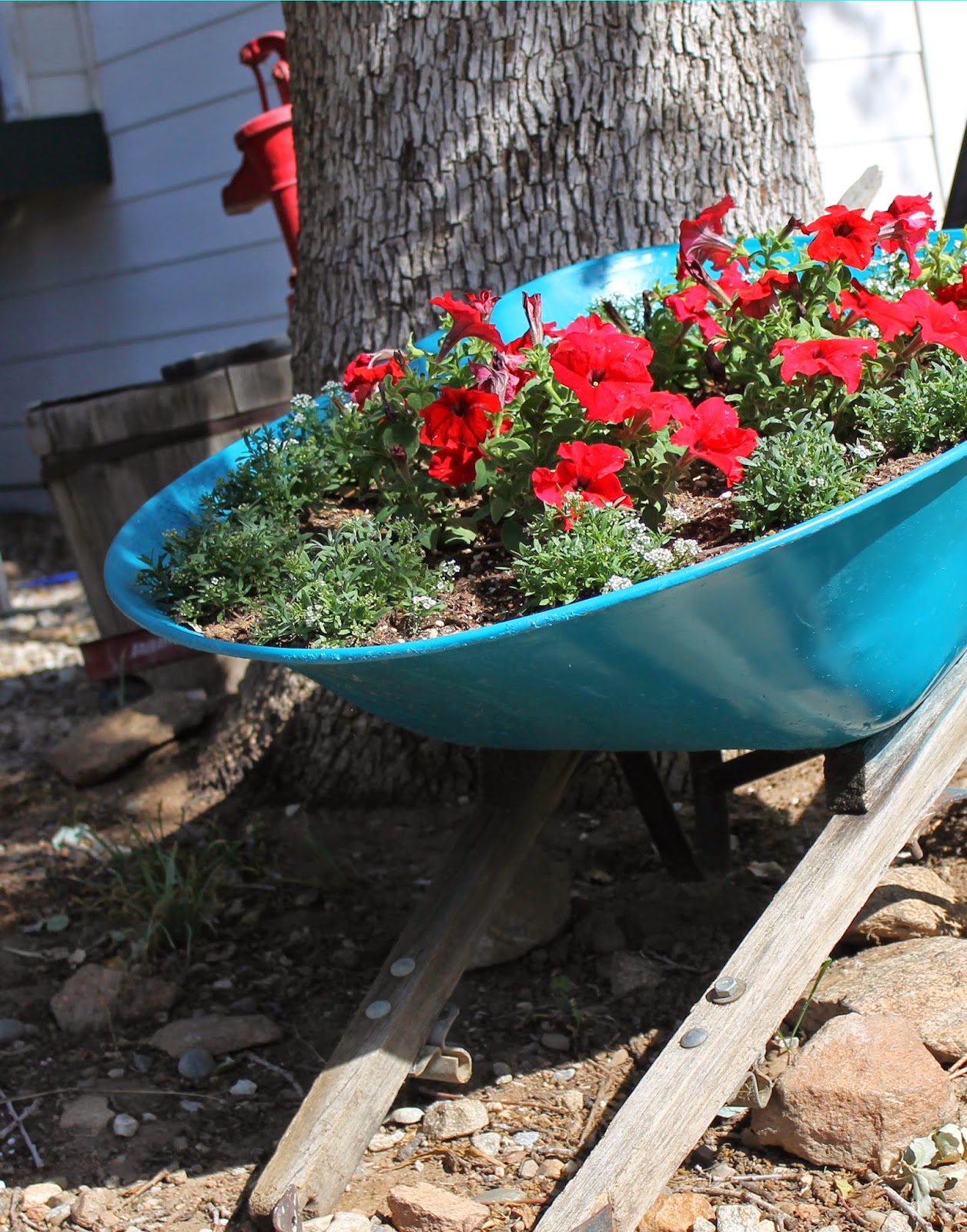 From the Carriage House Wheelbarrow Transformation