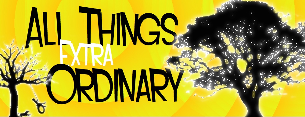 All Things Extra Ordinary