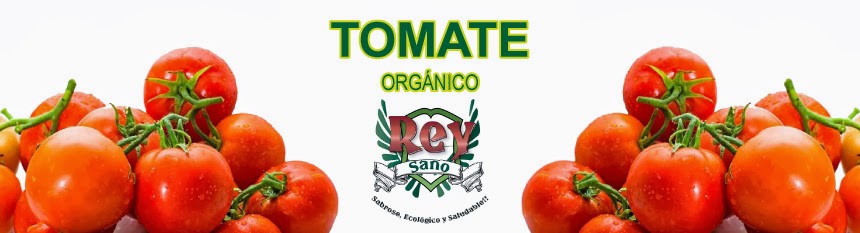 tomateorganicoreysano