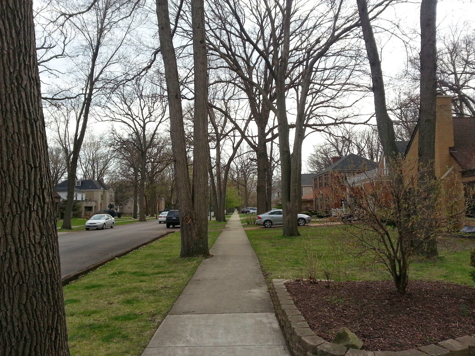 The Chicago Real Estate Local Looking for house rentals in Forest Glen