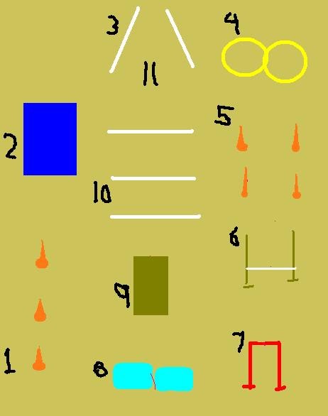 Adventures with Shyloh: obstacle course