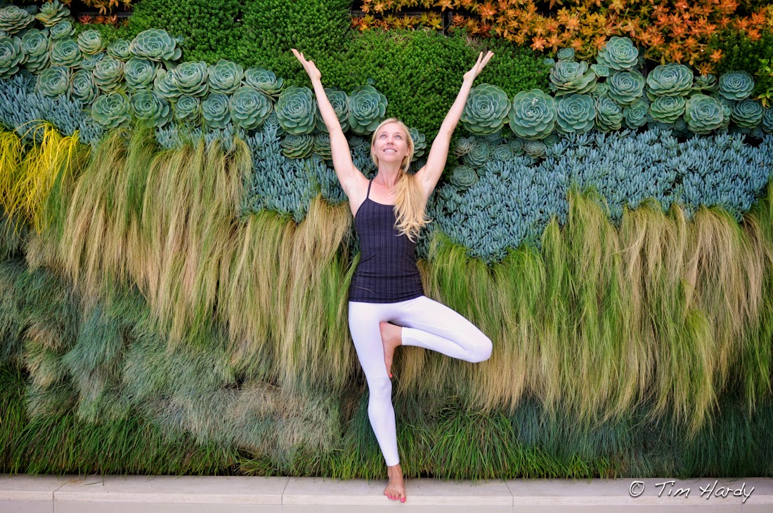 Zen Girl The Zen Girl's Guide to Goal Setting