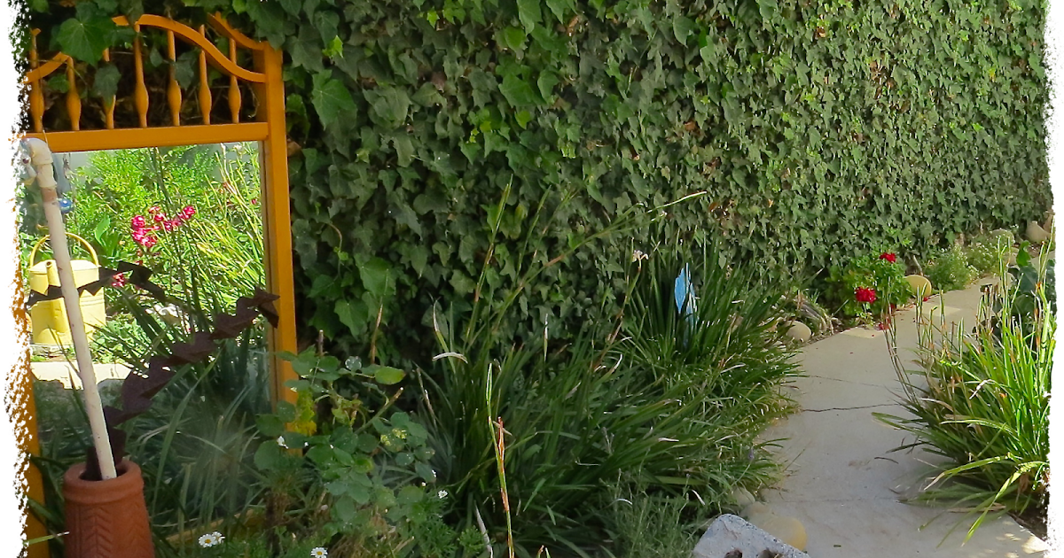 Art and Sand Flowers . . . all year long