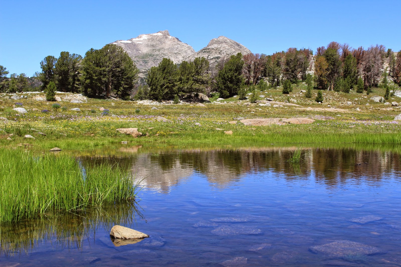 Sierra Hikes! Day 46 Big Sandy Campground to Pipestone Lakes