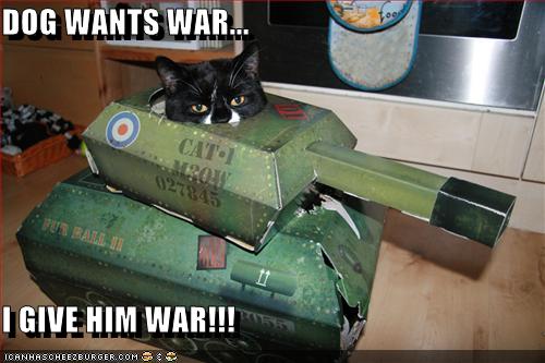 http://2.bp.blogspot.com/-K-06mYrB_mU/TyC4-eBWa2I/AAAAAAAAA3w/hCSfQ-JqKDg/s1600/funny-pictures-cat-gives-dog-war.jpg