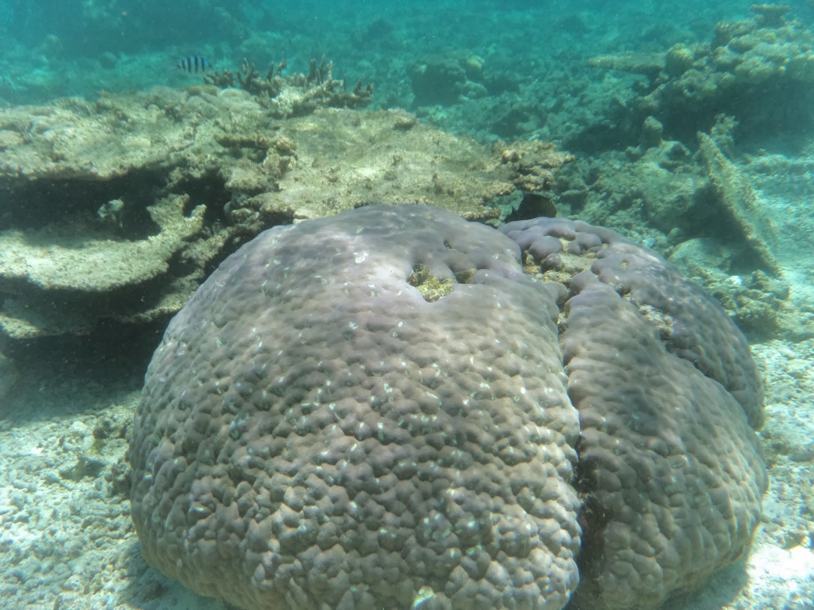 billetterie rencontres brel